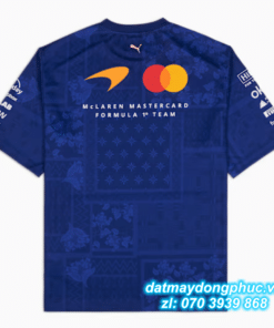 Áo Thun Nhóm Đua Xe FE04
