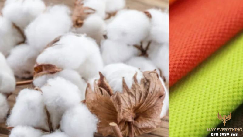 100% cotton là vải gì? Đặc điểm, ứng dụng và cách nhận biết 1 100% cotton là vải gì? Đặc điểm, ứng dụng và cách nhận biết
