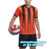 Đồng phục đá banh CLB 43